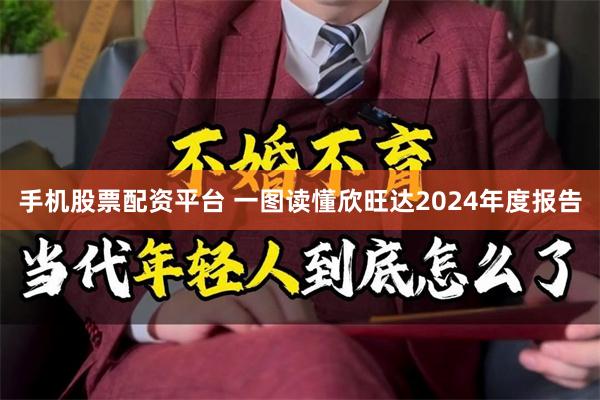 手机股票配资平台 一图读懂欣旺达2024年度报告