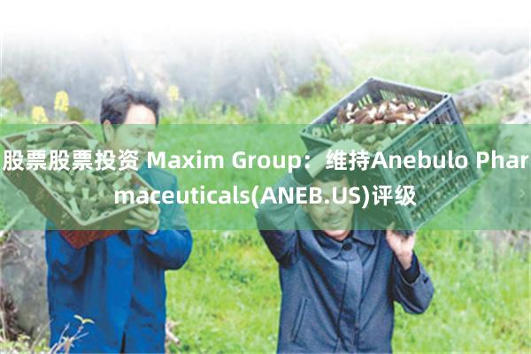 股票股票投资 Maxim Group：维持Anebulo Pharmaceuticals(ANEB.US)评级