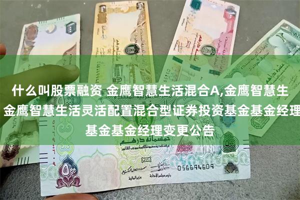 什么叫股票融资 金鹰智慧生活混合A,金鹰智慧生活混合C: 金鹰智慧生活灵活配置混合型证券投资基金基金经理变更公告