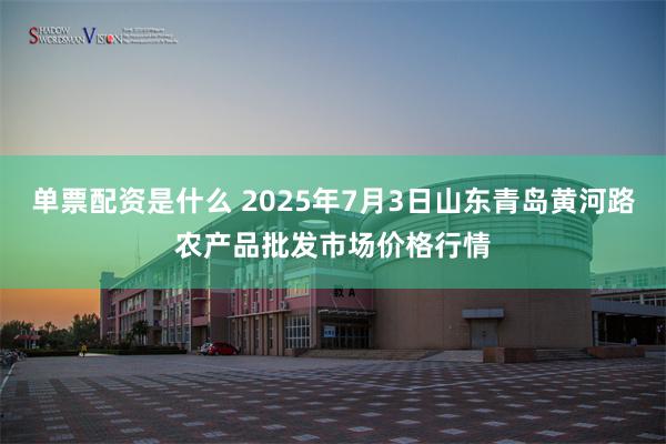 单票配资是什么 2025年7月3日山东青岛黄河路农产品批发市场价格行情