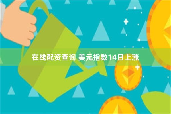 在线配资查询 美元指数14日上涨