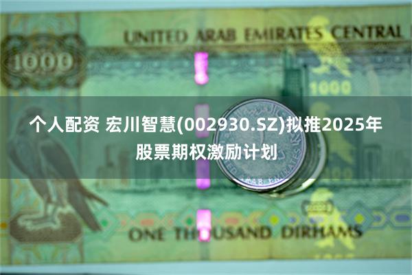 个人配资 宏川智慧(002930.SZ)拟推2025年股票期权激励计划