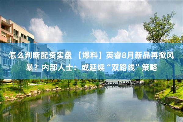 怎么判断配资实盘 【爆料】英睿8月新品再掀风暴？内部人士：或延续“双路线”策略